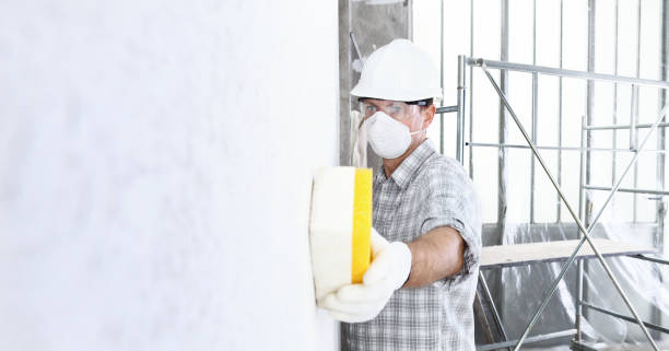 Best Mold Remediation for Vacation Homes  in USA